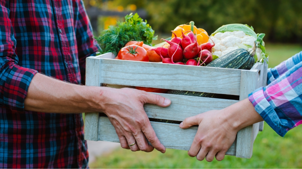 Et l'écologie dans tout ça ?